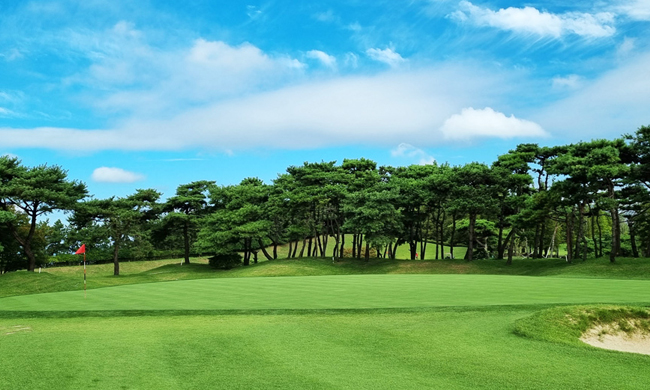 par4 3hole 전경 사진02